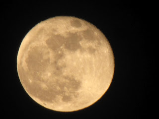 Moon